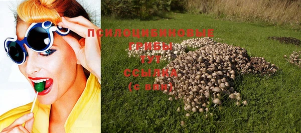 бошки Верея