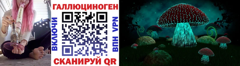 Галлюциногенные грибы Psilocybe  Дигора 